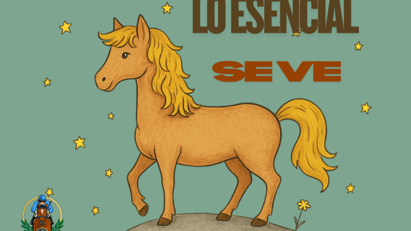 Lo esencial no es invisible