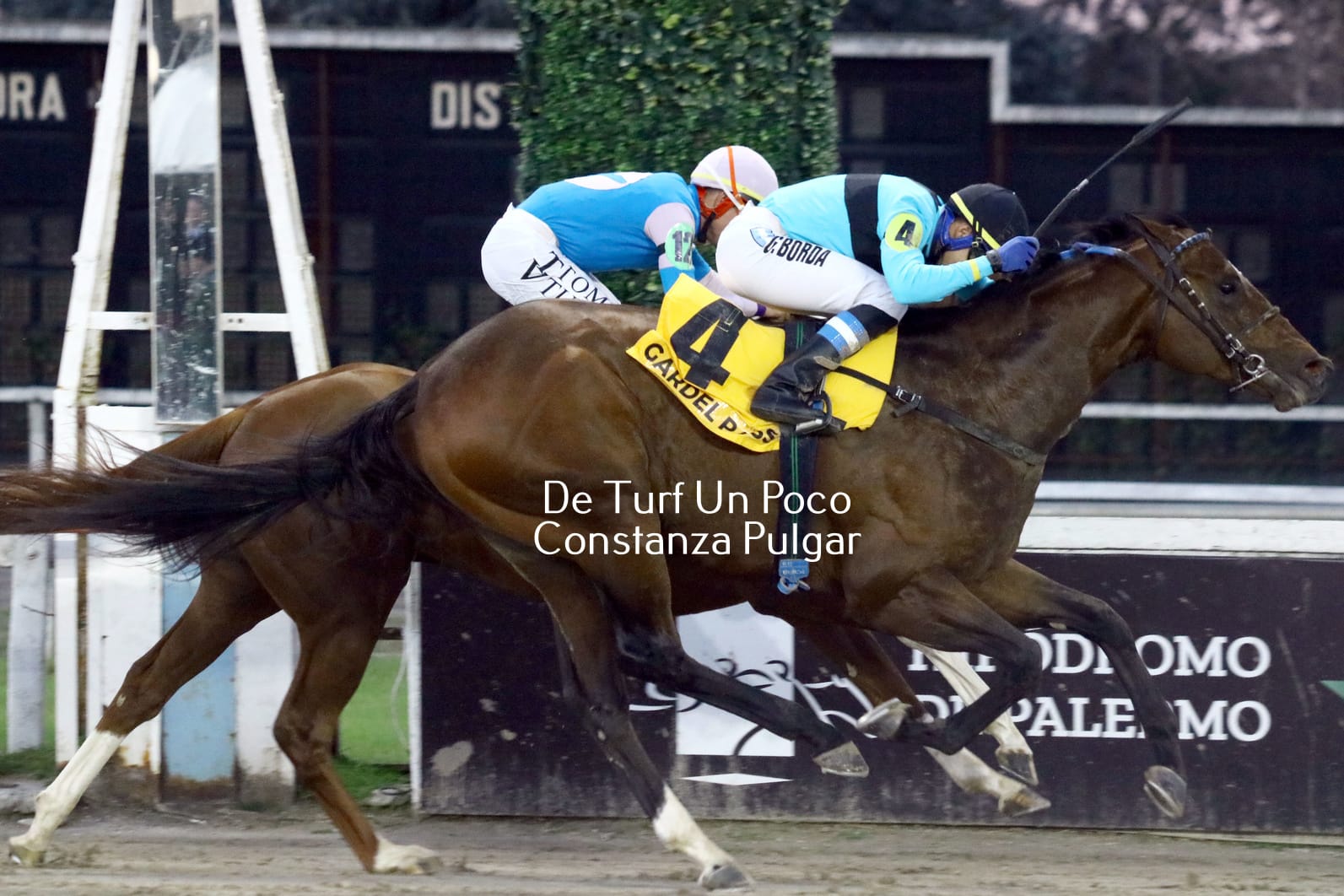 GARDEL PASS Y MOON FRANK brillaron en la Polla de Potrillos y Potrancas