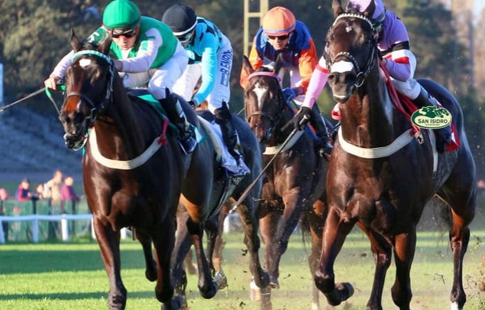 Cuarenta ratificados para la Jornada Jockey Club