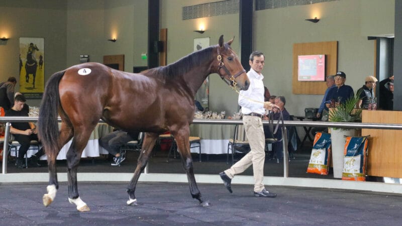 Radiografía de un sentimiento