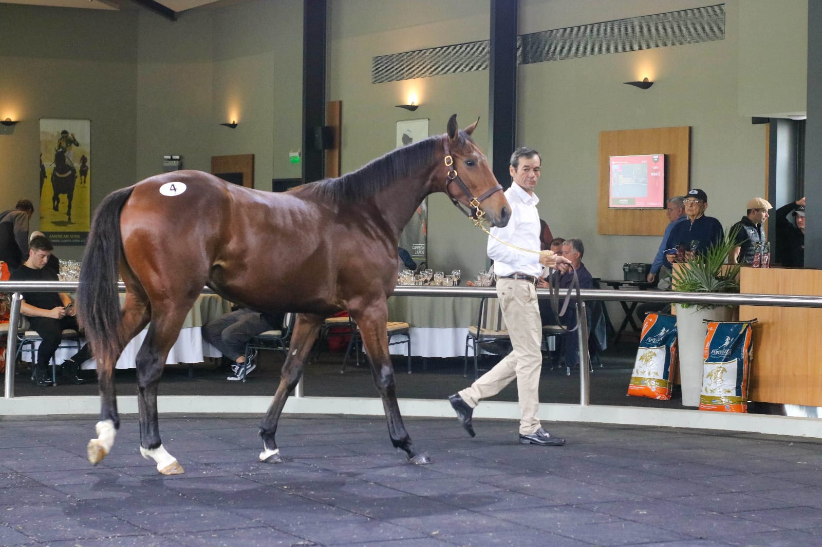 Radiografía de un sentimiento