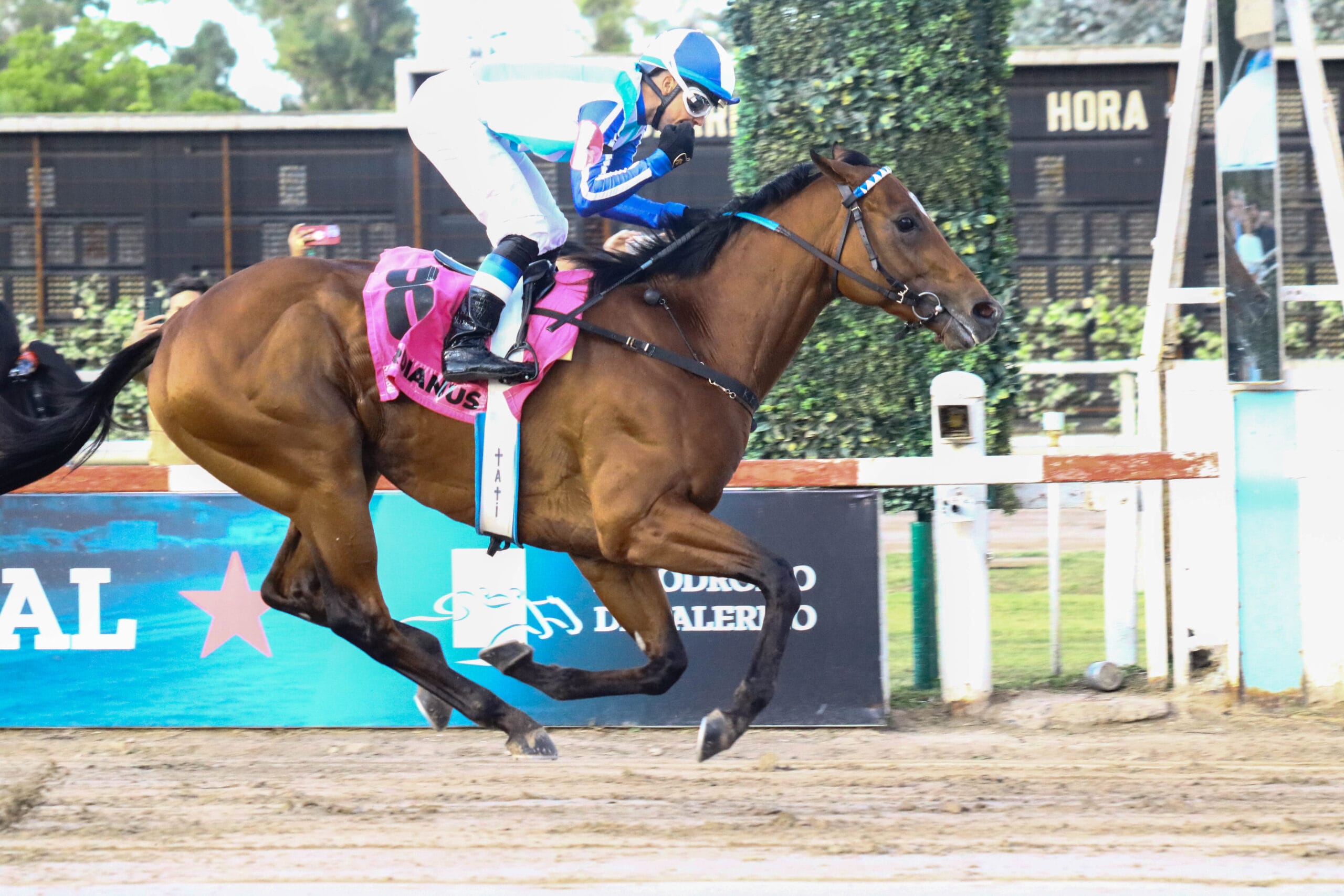 GORDIANUS brilló en el GRAN PREMIO NACIONAL (G1)