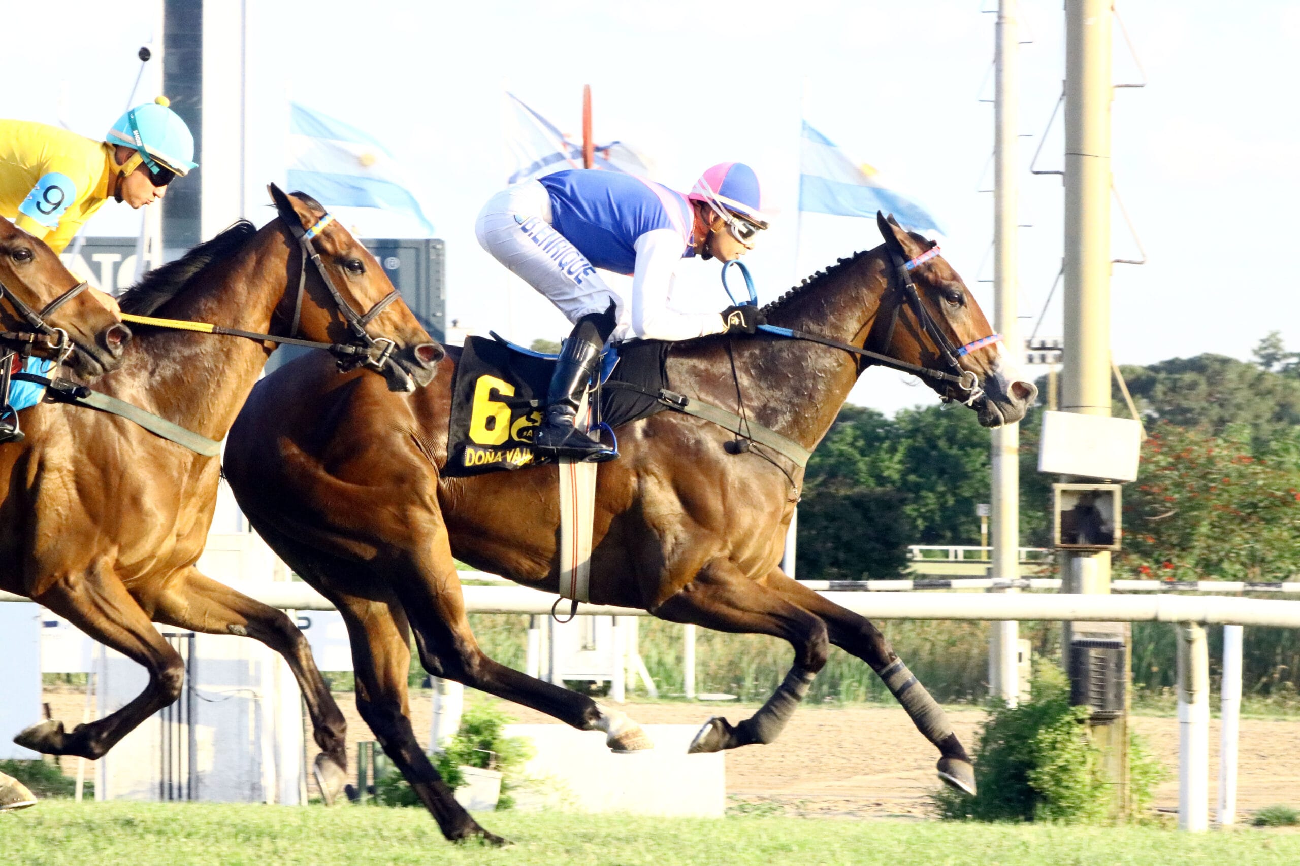 Doña Vainilla se quedó con el Gran Premio Enrique Acebal (G1)