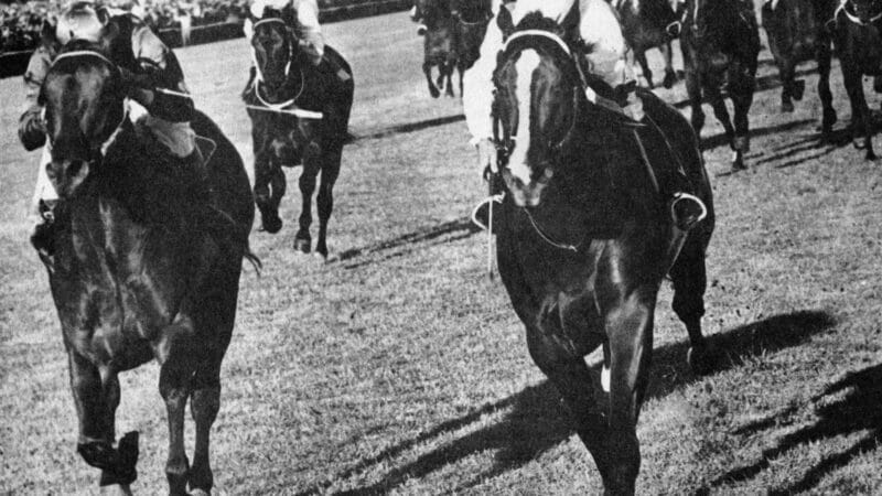 El Pellegrini es la llegada