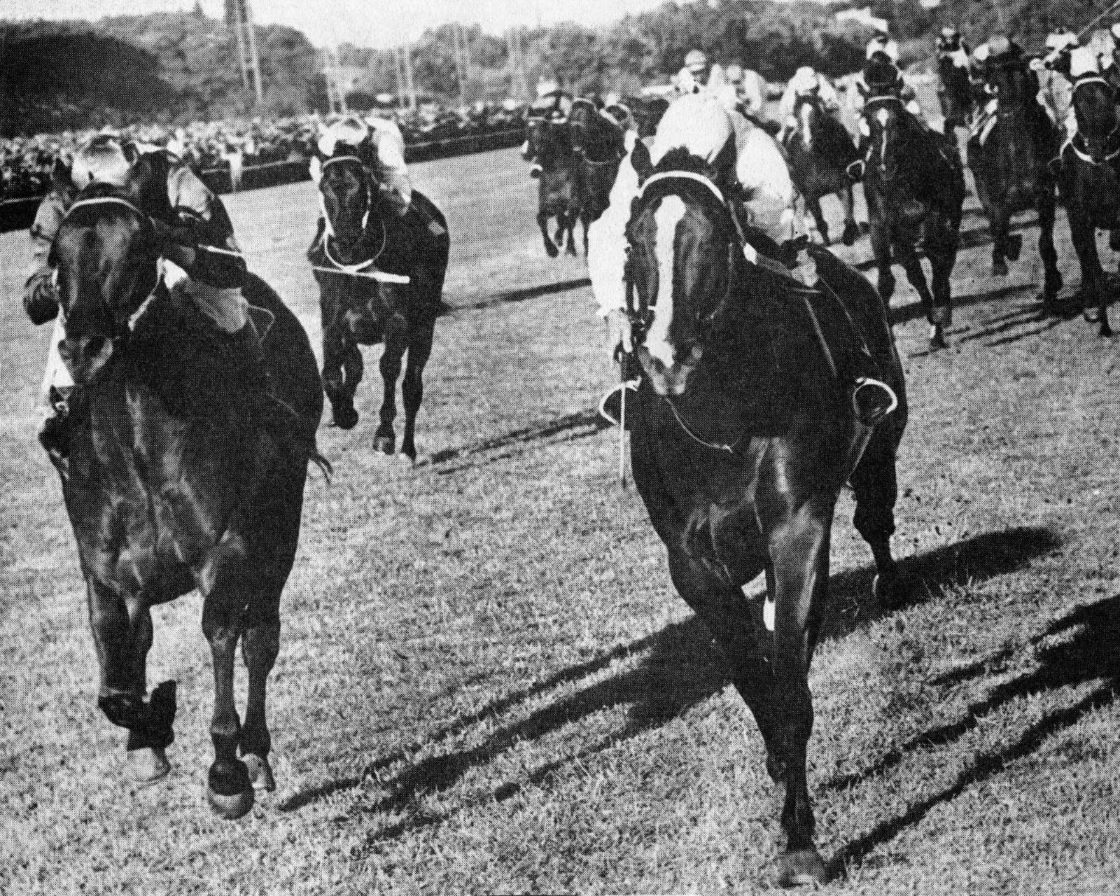 El Pellegrini es la llegada