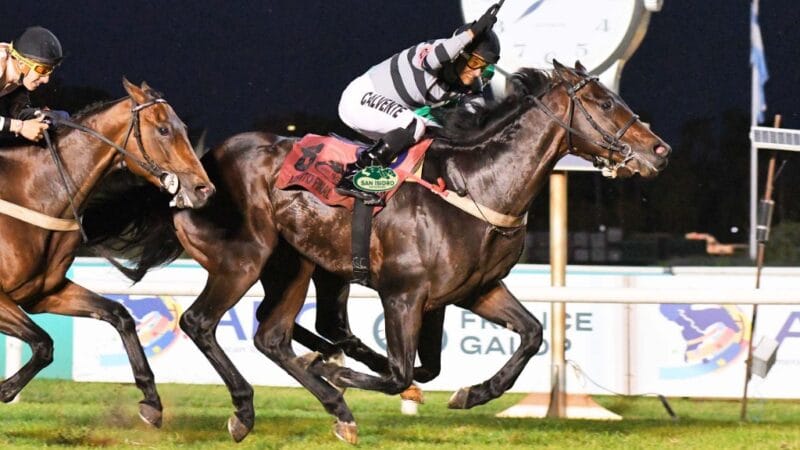 El GP Martínez de Hoz promete un espectáculo estupendo