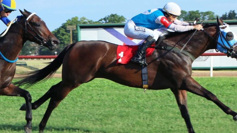 Miércoles con Handicap y más de $155M en pozos