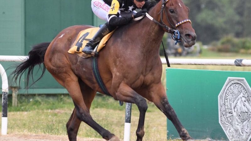 Abril pone primera en el HSI