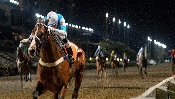Carrera de las Estrellas