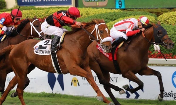 Valiente entrega de VILLAGE KING sobre el césped de Gulfstream Park