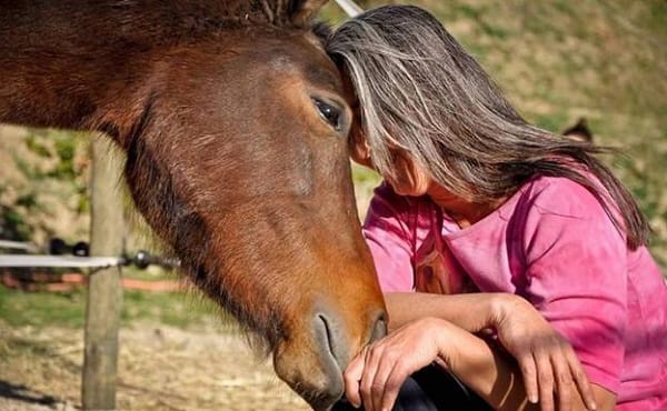 3era JORNADA DE SANIDAD Y BUEN TRATO EQUINO 2019 «La Mujer y el Caballo»