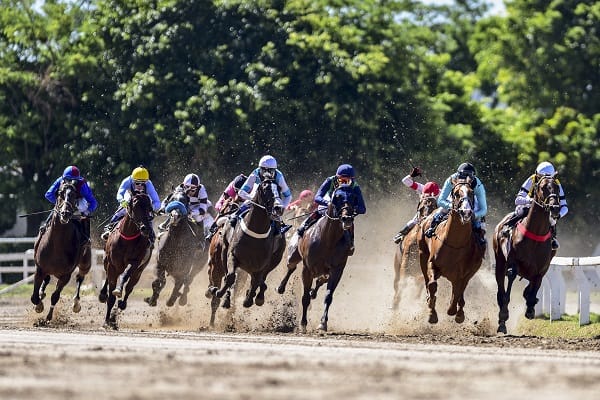 El Hipódromo de Palermo pone en juego el pozo más grande de la historia de la Hípica Argentina