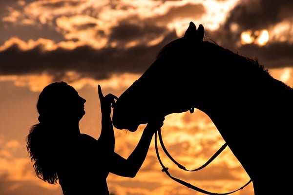 De que trata la 3era JORNADA DE SANIDAD Y BUEN TRATO EQUINO 2019 «La Mujer y el Caballo»