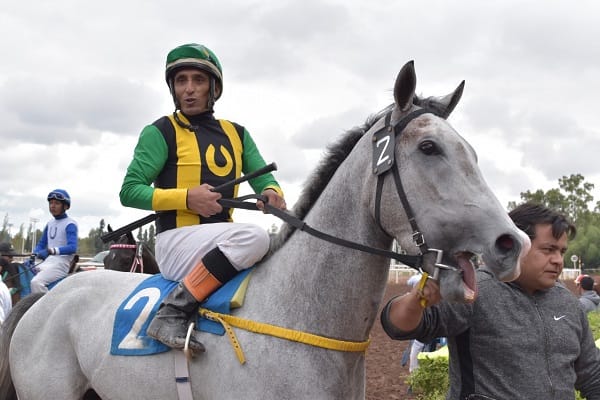 LEÓN DIFERENTE, Por demolición en el premio UTTA de Mendoza
