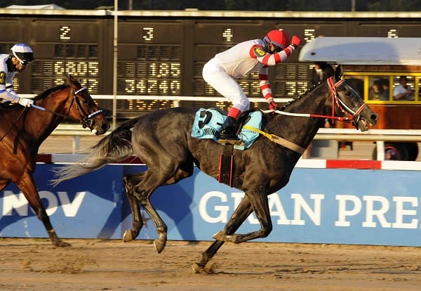 MIRIÑAQUE se coronó en la Pista de Palermo