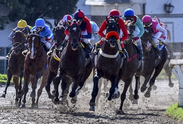Víví la segunda edición de Un Día en las Carreras en el Hipódromo de Palermo