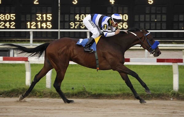 Nominación compartida de Tetaze para el Gran Premio Latinoamericano 2020