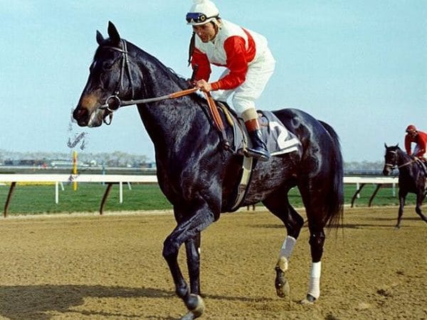 Recordando a una campeona: RUFFIAN