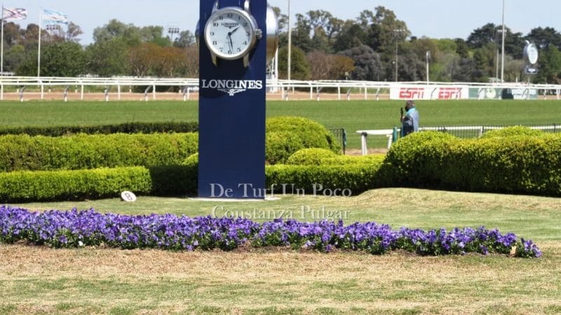 Volvió el turf al Hipódromo de San Isidro