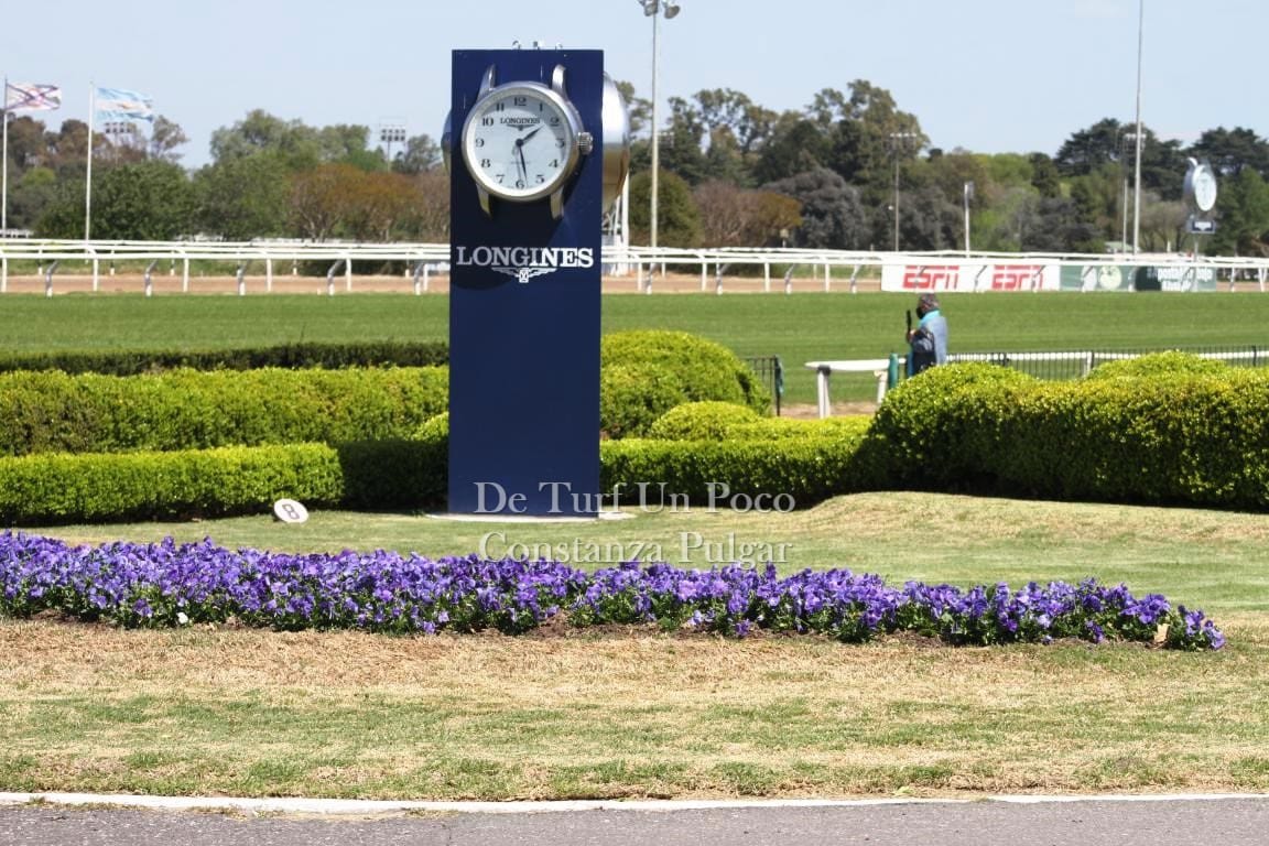 Volvió el turf al Hipódromo de San Isidro