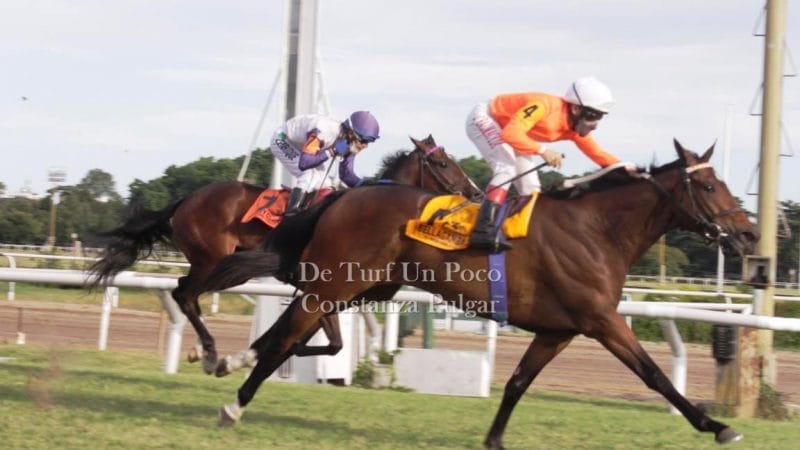 Jornada de Gran Premio Enrique Acebal en el HSI