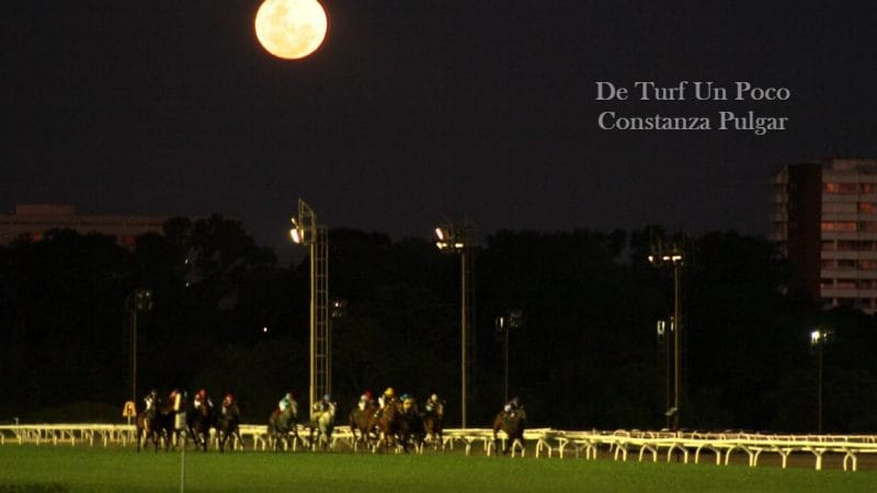 Una tarde de Jockey Club y Grandes premios en el HSI