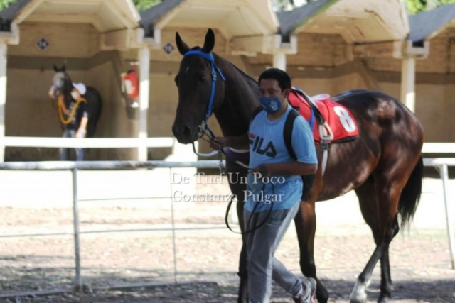 CPUL9448