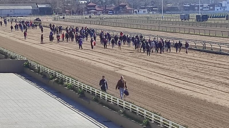 Hipódromo de La Plata sin carreras y con reclamos