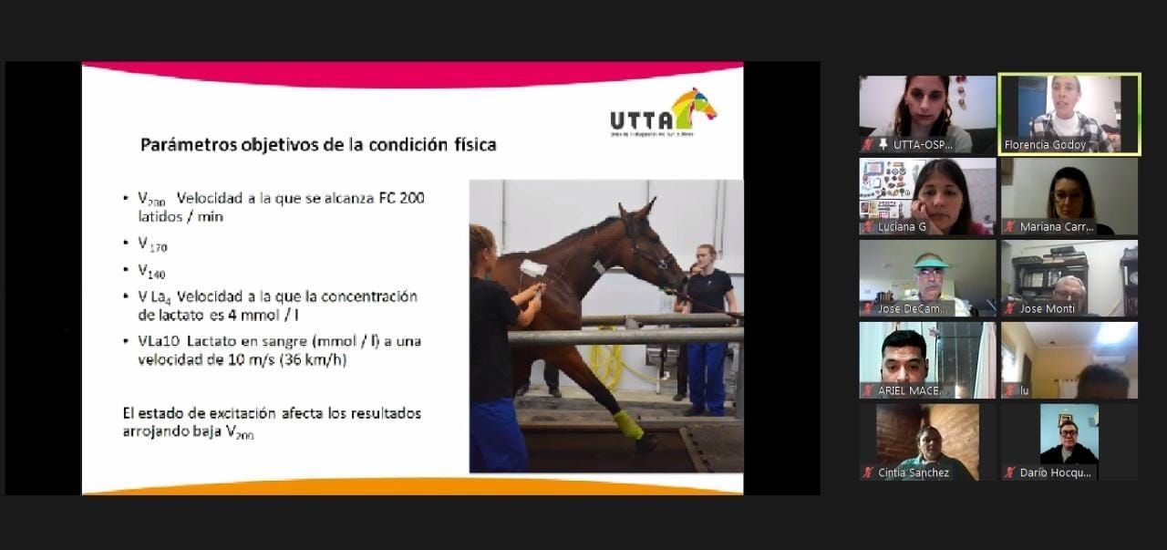 Un apasionante viaje por la ciencia del caballo deportivo