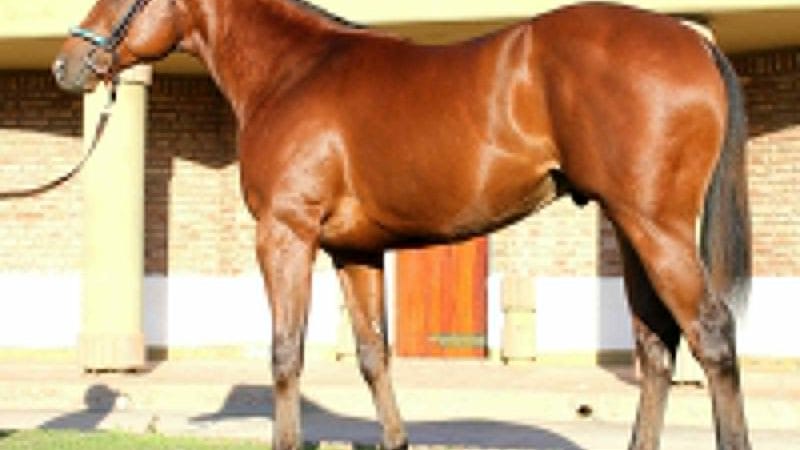 El mítico remate de la cabaña Grimaldi será el 2 de octubre 2021
