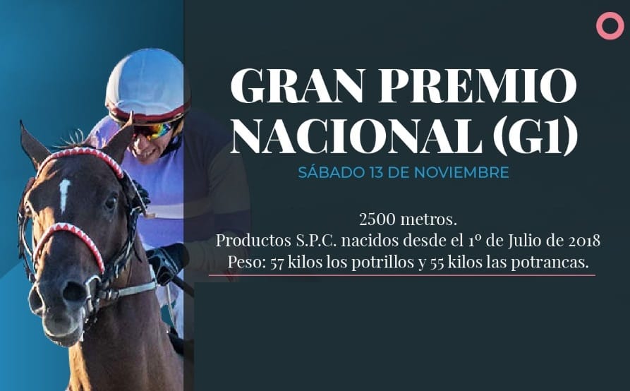 Los mejores ejemplares vuelven a Palermo a disfrutar la jornada del Gran Premio Nacional