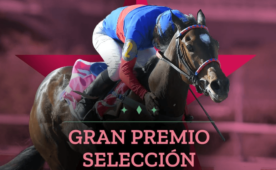 Las mejores Potrancas, deslumbrarán en el Gran Premio Selección