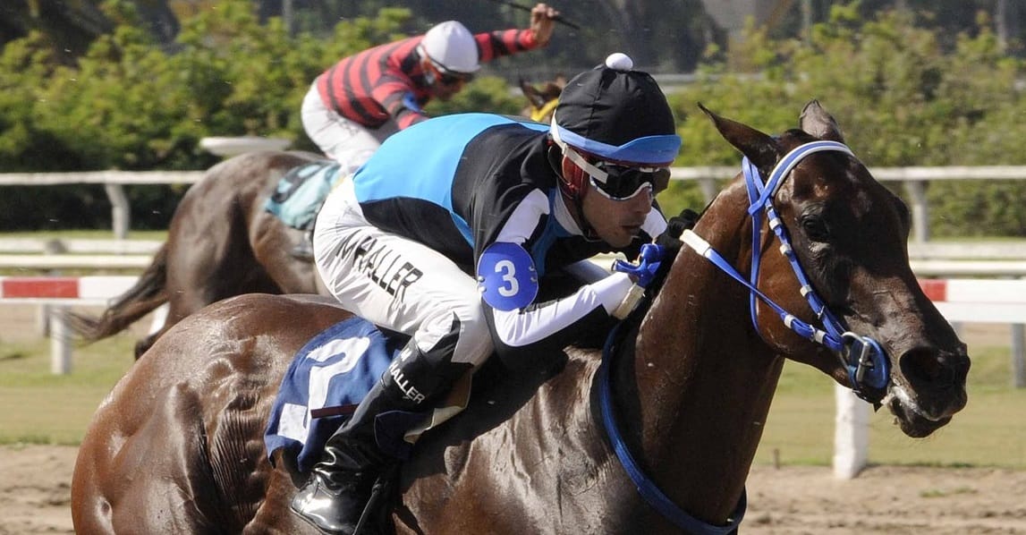 El Hipódromo de Palermo fue el escenario de una gran  fiesta Provincial