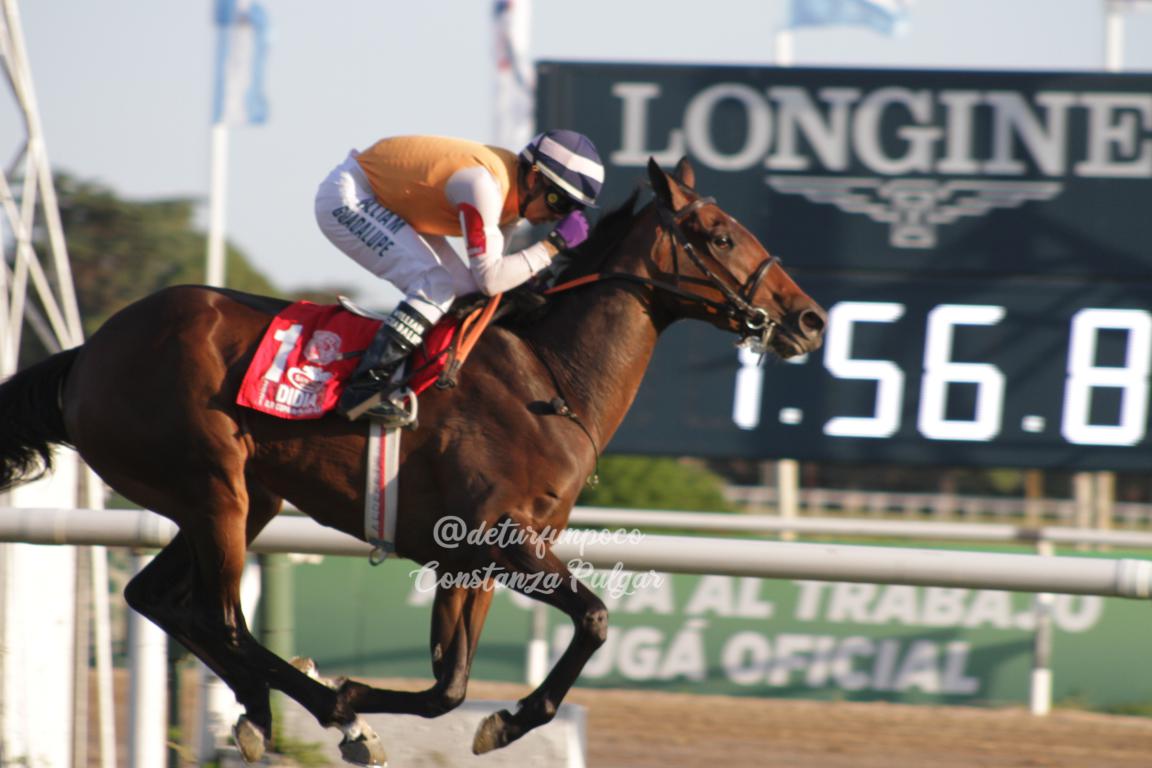 DIDIA de punta a punta se adjudicó el Gran Premio Copa de Plata G1