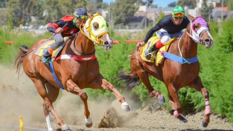 UTTA, un clásico de Entre Ríos a Chubut