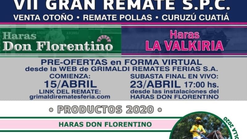 Llega a la Cabaña Grimaldi el VII Gran Remate de S.P.C – venta otoño – Remate Pollas – Curuzú Cuatiá