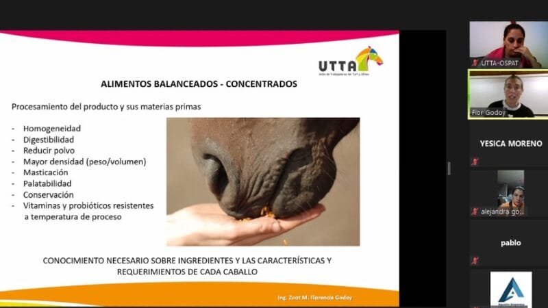 El valor de la alimentación en el caballo deportivo