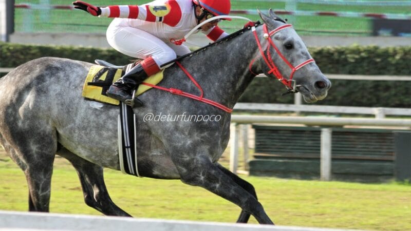 Así se vivió el Camponato Palermo de Oro Verde y el Festival Cultural «BAAEX» el pasado domingo en el Hipódromo de Palermo
