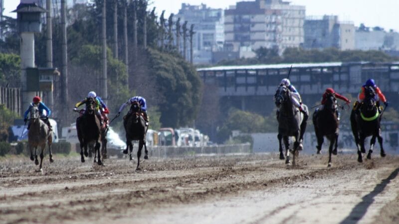 La séptima edición de «Un día en las Carreras» se disfrutó en el Hipódromo de Palermo