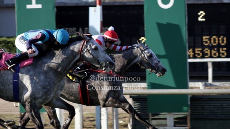 Las Pollas dieron un gran espectáculo en el Hipódromo de Palermo