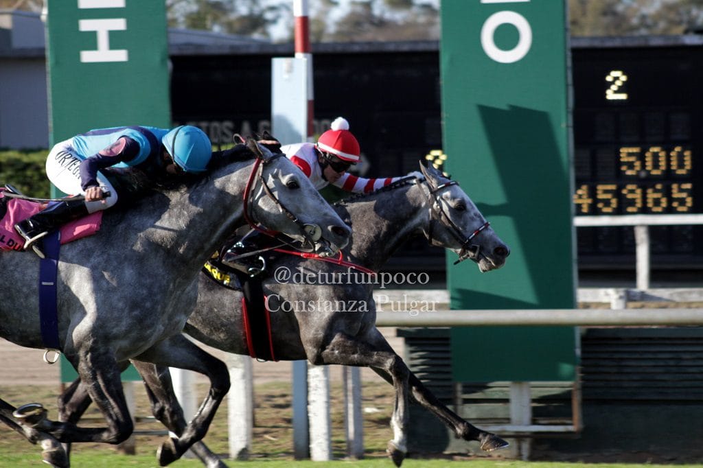 Las Pollas dieron un gran espectáculo en el Hipódromo de Palermo