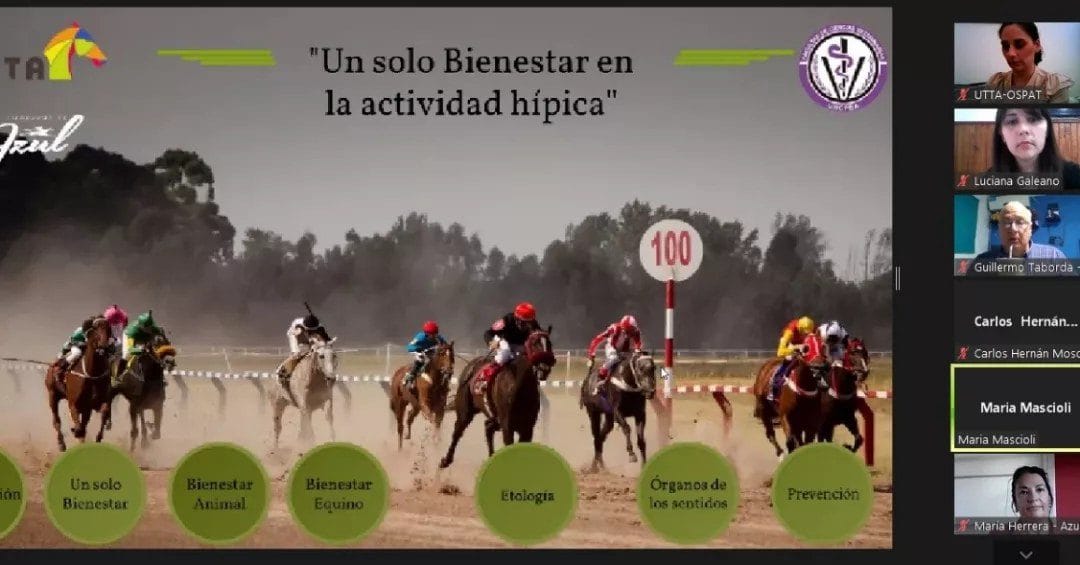 Se llevó a cabo el Seminario virtual «Un solo bienestar en la actividad hípica»