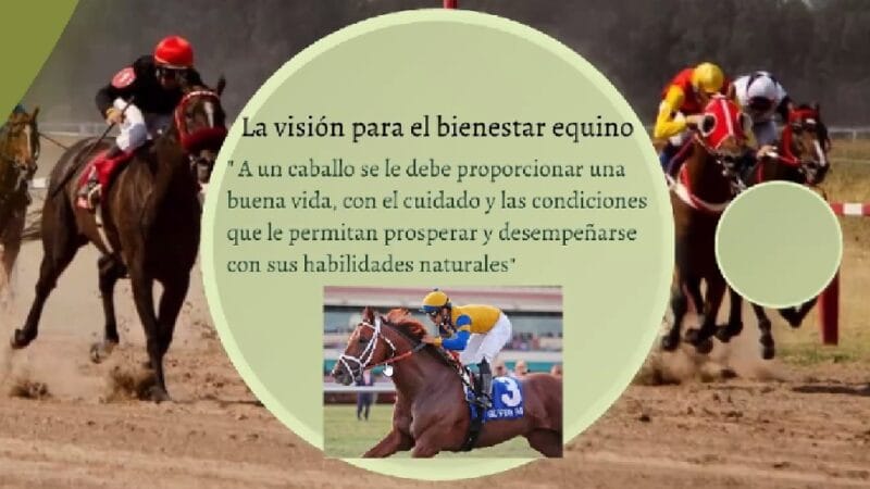 El bienestar animal, en primer plano