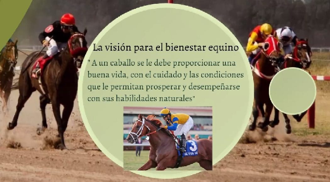 El bienestar animal, en primer plano