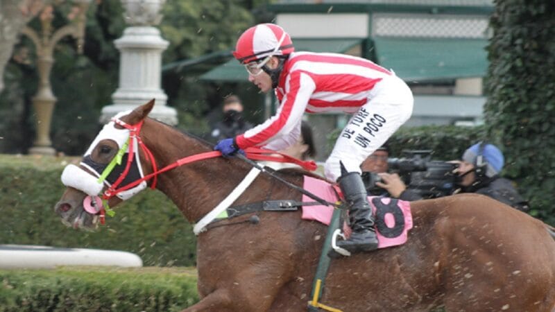 Descargo de Juan Pablo Paoloni por las 20 fechas de sanción del Hipódromo de Palermo