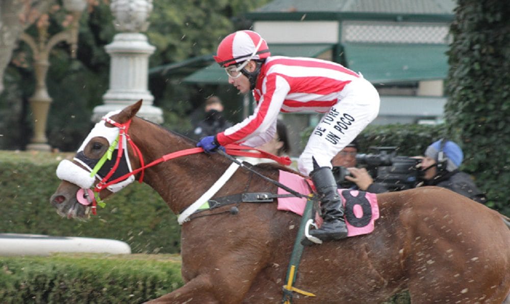 Descargo de Juan Pablo Paoloni por las 20 fechas de sanción del Hipódromo de Palermo