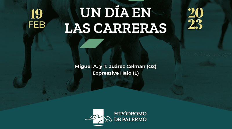 Un día en las Carreras: Garantizados MILLONARIOS,doblete, triplete y más