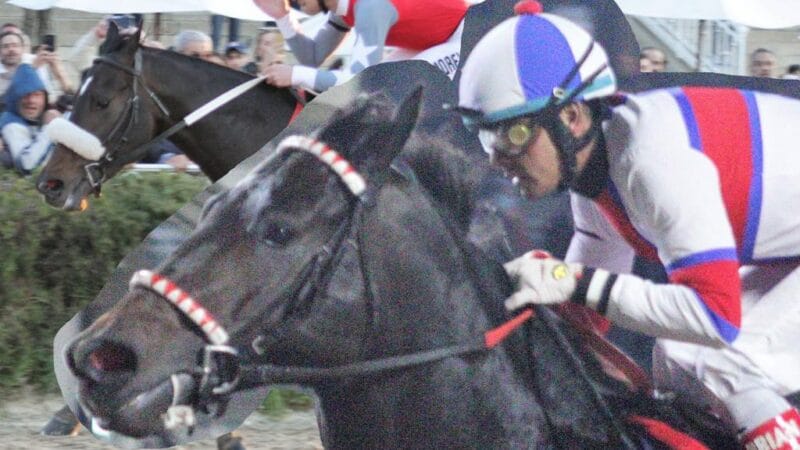 Domingo de Campeones en el Hipódromo de Palermo