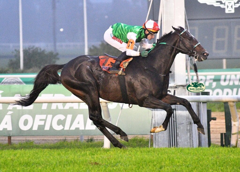 PAY THE MAN se impuso en el Clásico Forli G2