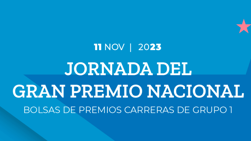 Bolsas de premios: NACIONAL, PALERMO y MAIPÚ